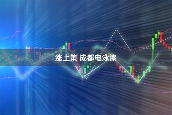涨上策 成都电泳漆